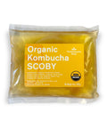 100 Percent Organic SCOBY Kombucha Starter Kit For Home Brew Sessions with live culture in sealed package
