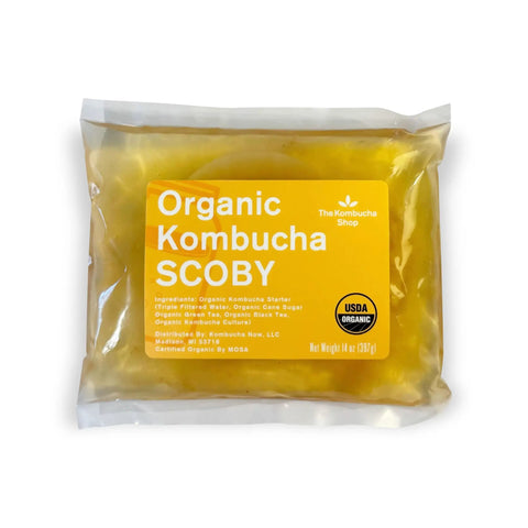 100 Percent Organic SCOBY Kombucha Starter Kit For Home Brew Sessions with live culture in sealed package