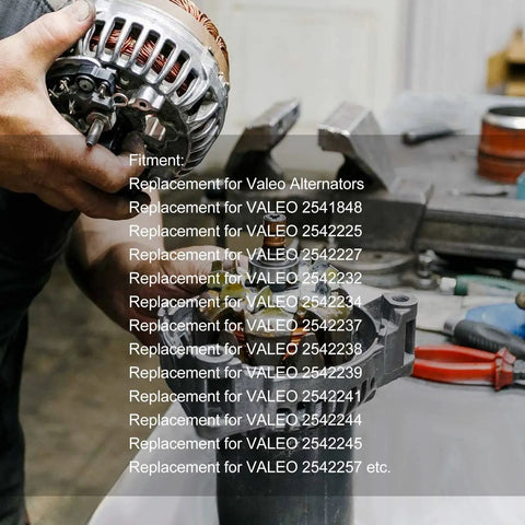 Premium Alternator Rebuild Kit With Heavy Duty Slip Ring Brush Set For Sprinter And Generators Superior Conductivity Top Shelf Replacement Part Fixes Charging Hiccups For Smooth Everyday Ride, held in a mechanic's hand.