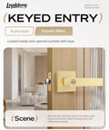 5 Pack Keyed Alike Exterior Door Levers With Lock In Gold Finish installed on a wooden door, showing living room interior.