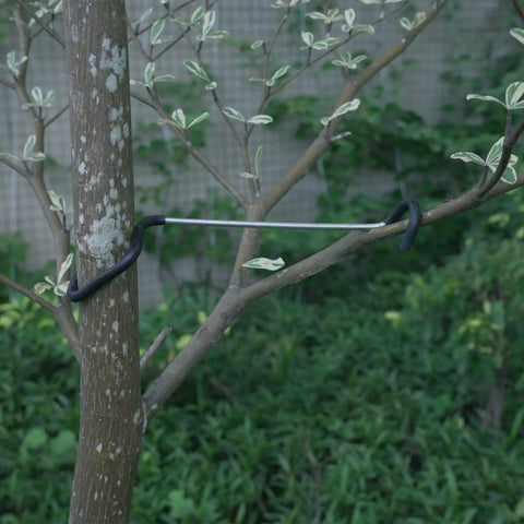 7-inch branch puller from 30 Pack Fruit Tree Limb Spreader With Hose Protection installed on a small tree branch.