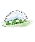 Illustration of Set Of 6 Garden Hoops Grow Tunnel Supports For DIY Low Tunnel Greenhouse Arch Frame covering vegetable plants.