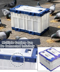 Breathable Lockable Travel Cage Carrier For Birds Pigeons Parrots And Parakeets shown with pigeons, durable plastic design