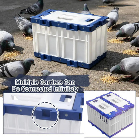 Breathable Lockable Travel Cage Carrier For Birds Pigeons Parrots And Parakeets shown with pigeons, durable plastic design
