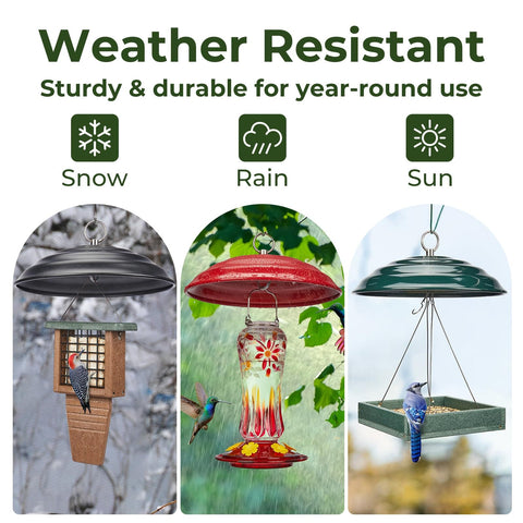 Heavy Duty Metal Weather Shield Dome For Outdoor Bird Feeders, Hanging Squirrel Baffle Rain Guard, 11.5 Inch, Green, in use.