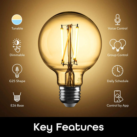 Amber LED Smart Light Bulb Two Pack With WiFi Connectivity, Alexa And Google Home Compatible displayed with key features diagram