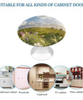 Meadow Style 1.1 Inch Cabinet Knobs And Drawer Handles Set In Stainless Steel Aluminum Alloy for various cabinets.