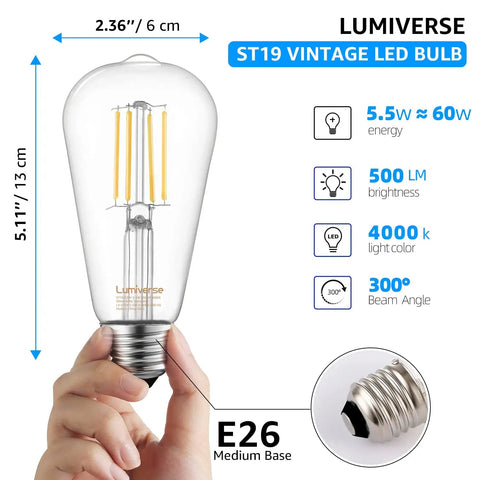 Hand holding Dimmable LED Edison Bulb With Vintage Filament For A Retro Vibe, 5.5 Watt, 60W Equivalent, 500 Lumens, 95 CRI, 4000K Cool White, E26 Medium Base.