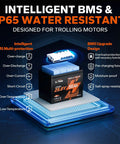 Diagram of 24V 50Ah LiFePO4 Battery for Trolling Motors, Boats and RVs with Built-In 50A BMS, Low Temp Cutoff, and TVS Protection features.