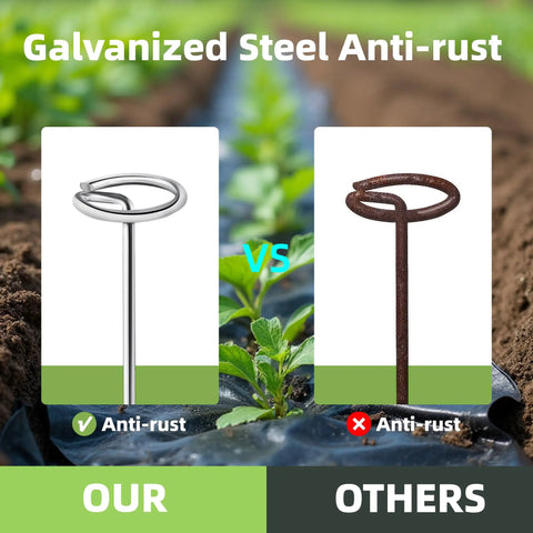 Comparison of galvanized and rusted Heavy Duty 6 Inch Galvanized Landscape Stakes With Circle Top Pins 8 Gauge Zero Point Sixteen Inch Thick