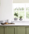 Champagne Bronze Cabinet Knobs 1-1/6 Inch Solid Zinc Alloy With Brushed Brass Finish 25 Pack on olive kitchen cabinets