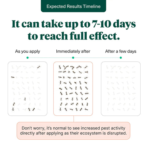 Pro Grade Pest Control Kit with fast acting insect killer spray timeline showing pest reduction over 7-10 days
