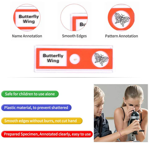 Ultimate 60 Piece Plastic Prepared Microscope Slides Set With Insects Plants Animals Flowers And Other Specimens In Five Boxes Safe No Sharp Edges Durable For Classroom And Home Science Kid Friendly, plastic slide butterfly wing