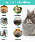 Image of small pets: rabbit, guinea pig, chinchilla, ferret, squirrel, and hedgehog, suitable for the Worry Free Automatic Rabbit Food Dispenser.