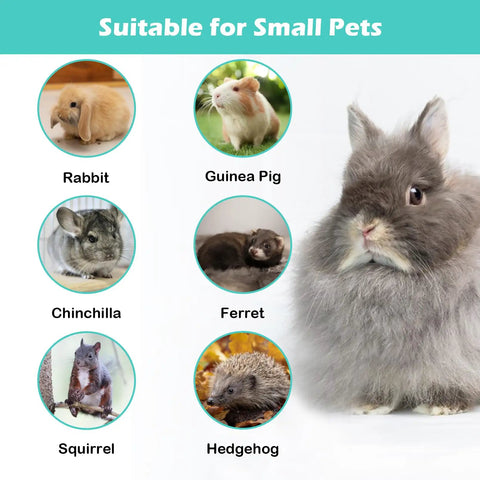 Image of small pets: rabbit, guinea pig, chinchilla, ferret, squirrel, and hedgehog, suitable for the Worry Free Automatic Rabbit Food Dispenser.