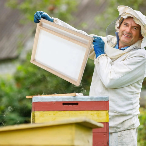 Beekeeper holding Solar Fume Board For Beehives, Universal 8 Frame And 10 Frame Inner Cover With Metal Top