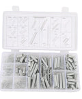 Dope 200-Piece SASKATE Extension Spring Kit With Storage Box Features Zinc Plated Metal Assorted Sizes, open box view