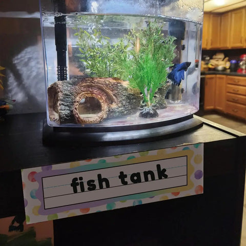 Fish tank with plants and blue fish; Colorful Dot Desk Nameplates Set 9.5x3 Inches For Kids Classrooms, 48 Pcs Confetti Watercolor Manuscript Name Plates.