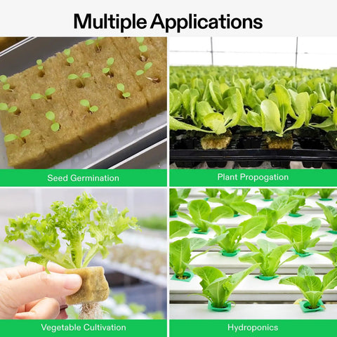1 Inch Rockwool Cubes For Seed Starting And Cloning 200 Plugs For Hydroponics Propagation Media For Vigorous Growth Easy Cuttings And Seedlings For Strong Healthy Plants used in seed germination and hydroponics
