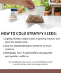Instructions on how to cold stratify seeds with a visible plastic bag containing seeds on a table.