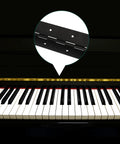 Heavy Duty 48 Inch Piano Hinge 3 Inch Wide 0.060 Thick 304 Stainless Steel shown on a piano keyboard for robust mounting.