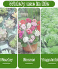 Image showing succulents, flowering plant, and vegetables with Two Pack Ultra Fine Garden Netting 10x33Ft See Through Insect Barrier.