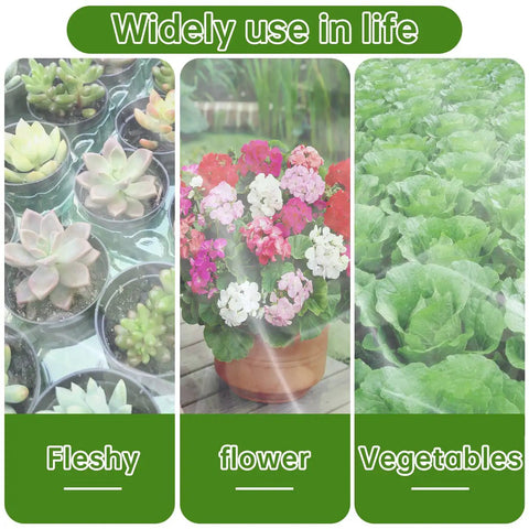 Image showing succulents, flowering plant, and vegetables with Two Pack Ultra Fine Garden Netting 10x33Ft See Through Insect Barrier.