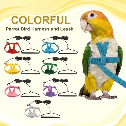Colorful Parrot Bird Harness And Leash, Adjustable Lightweight Flight Training Rope With Wing Vest displayed on multiple birds