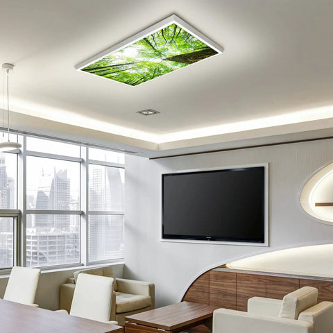 2x4 Fluorescent Light Covers Backlit Film For Classrooms And Offices Easy Install Brighten Your Space Improve Focus And Reduce Headaches