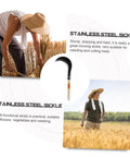 Man using Long Handled Mowing Knife Garden Hoe With Wooden Handle For Weeding And Harvesting in field.