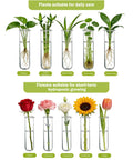 Your Go To Wall Hanging Propagation Station With Wooden Stand, Five Glass Test Tubes And Three Tier Planters, plants and flowers