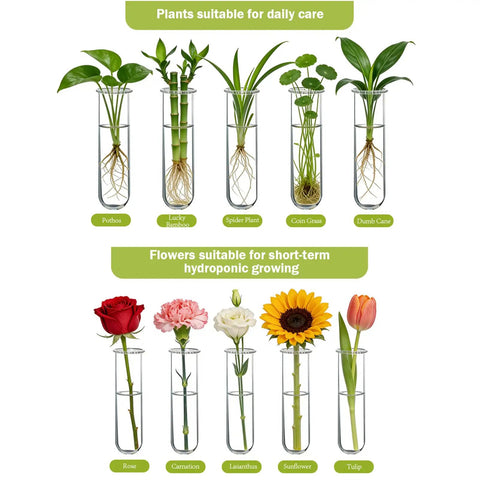 Your Go To Wall Hanging Propagation Station With Wooden Stand, Five Glass Test Tubes And Three Tier Planters, plants and flowers