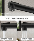Top Shelf Compact Kitchen Faucet With Pull Down Sprayer And Rock Solid Stainless Steel Build Matte Black Finish water-saving aerator with two modes.