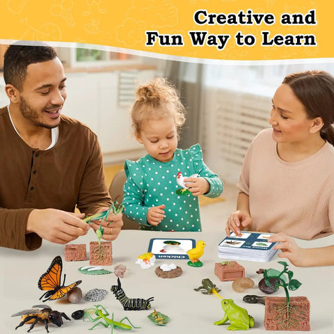 Family exploring Life Cycle Science Toys For Kids Set with butterfly, frog, chicken, mantis, bee, plants figurines on a table.