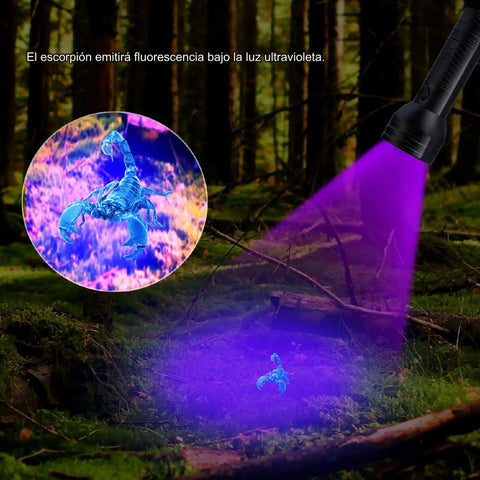 Portable 51 LED Black Light Flashlight Pro Grade illuminating a scorpion in forest under UV glow, detection demonstration.