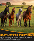 Four horses of various breeds standing in a sunny field, showcasing their muscular build and coat diversity.