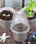 36 Packs 4 Inch Plant Nursery Pots With Humidity Dome Transparent Plastic Planters For Seed Starting Seedlings Indoor Outdoor Garden Kit With Plant Labels
