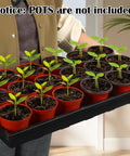 Person holding 1020 Flat Seed Starter Trays 10 Pack BPA Free Plastic Nursery Pots Trays for Seedlings with potted plants