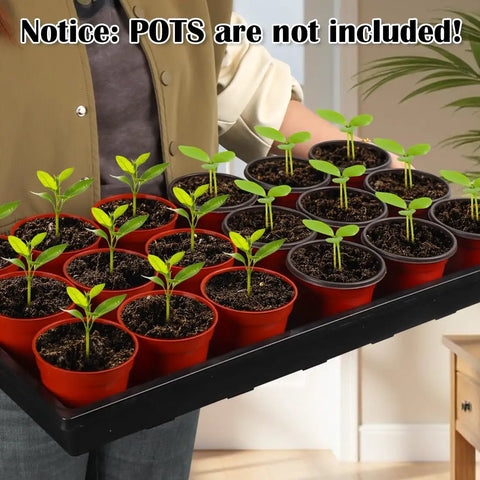 Person holding 1020 Flat Seed Starter Trays 10 Pack BPA Free Plastic Nursery Pots Trays for Seedlings with potted plants