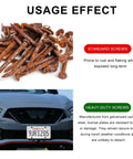 Built Tough Heavy Duty Steel License Plate Screws Rock Solid Security Kit For Cars Suvs And Trucks Self Tapping Fasteners shown with rusted screws and secure license plate.