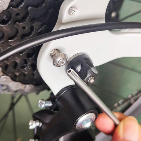 Using Beefy 9 Piece Torx And Allen Wrench Set With Short Arm Hex Keys T10 To T50 In Chrome Vanadium Steel for bike repair.