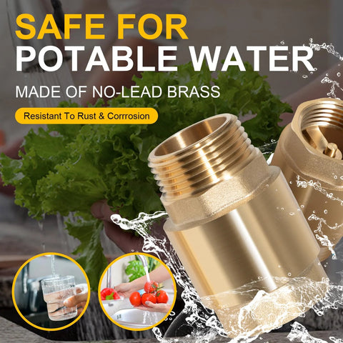 Brass one-way check valve with 1 in NPT male inlet and 1 in FNPT outlet for water systems