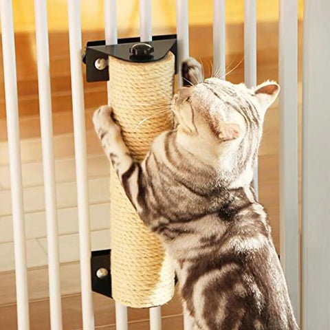 Cat scratching on Natural Sisal Rope One Quarter Inch Thick 328 Feet 100 Meters Heavy Duty Twine For Cat Scratcher Posts Garden Binding Crafts And Packing Material Built To Last Tough As Nails attached to gate