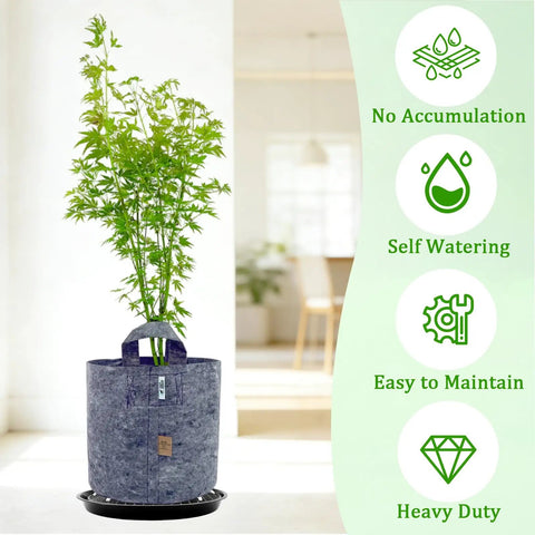Five Pack 12 Inch Self Watering Plant Saucers, Durable Plastic Plant Trays With Bottom Water Catcher, Great For Indoor And Outdoor Pots, Auto Irrigation System For 1 To 5 Gallon Fabric Grow Bags