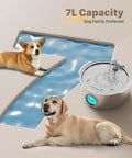 7L Large Breed Pet Water Fountain Stainless Steel Quiet Indoor Dog Waterer with two dogs near water pool.