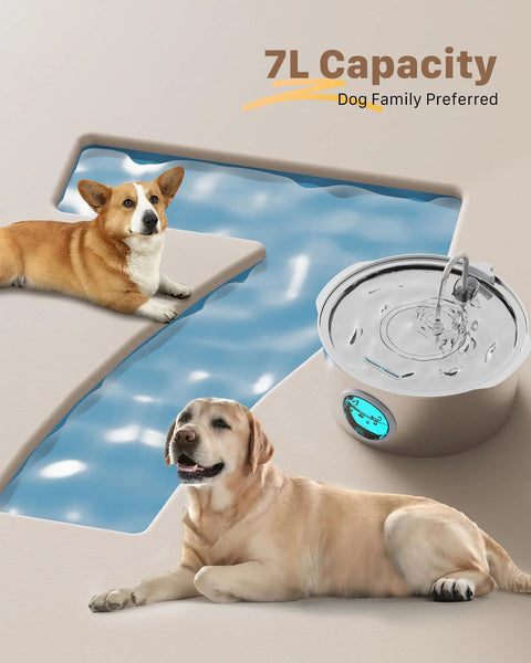7L Large Breed Pet Water Fountain Stainless Steel Quiet Indoor Dog Waterer with two dogs near water pool.