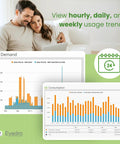 Couple analyzing Smart Home Energy Monitor With Whole Home Power Tracking And Real Time Usage Insights data charts on a laptop.