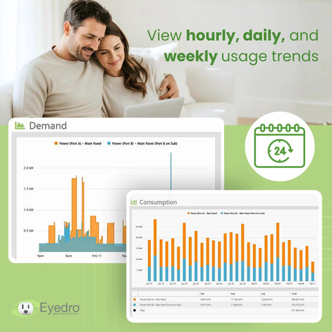 Couple analyzing Smart Home Energy Monitor With Whole Home Power Tracking And Real Time Usage Insights data charts on a laptop.