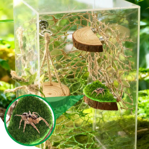 Premium Seven Piece Jumping Spider Habitat Decor Kit Featuring Natural Wood Platforms Cozy Hanging Swing Braided Hemp Rope Bridge And Glitter Webs For Compact Enclosures That Totally Slaps with wooden mounts and spider.