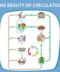 Infographic illustrating circular process from agri-cultivation to healthy food with BSFL feeding and kitchen waste recycling.